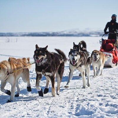 6 Day Winter Wonderland Tour in Yellowstone National Park