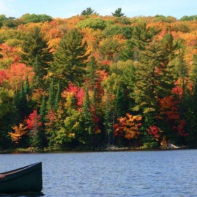 Algonquin Park Luxury 3-Day Camping & Canoeing: Moose/Beaver/Turtle Adventure