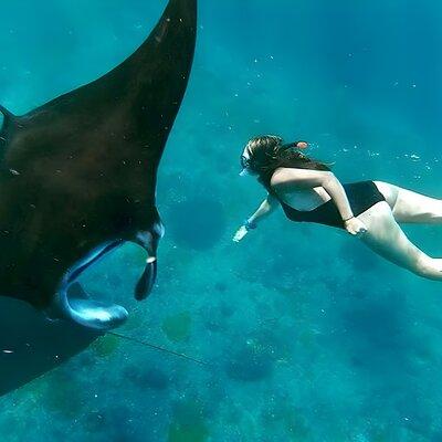 Snorkeling In Nusa Penida Departing From Bali Island