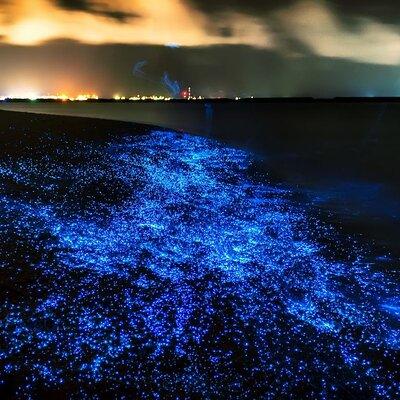 Phuket: Phang Nga Bay Bioluminescent Plankton and Sea Canoes tour