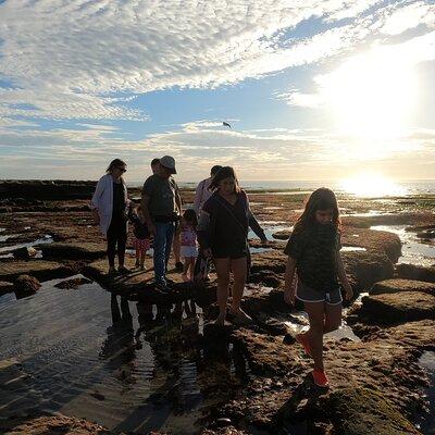 Explore San Diego Tide Pools with a Marine Biologist