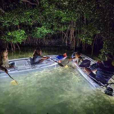 Clear Kayak LED Night Glass Bottom Tour - Siesta Key, FL