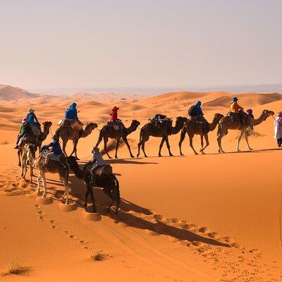 8D Morocco Luxury Private Tour From Casablanca By Imperial Cities