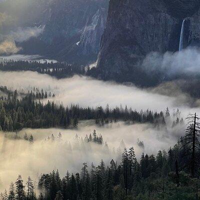 Yosemite Winter Highlights Small Group Tour