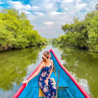 The Nature Trail at Chorao Island