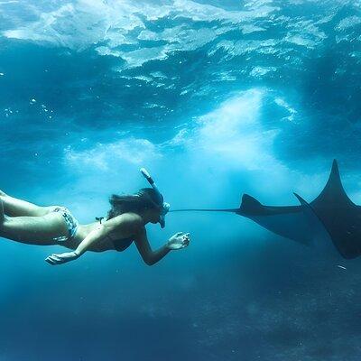 Snorkeling In Nusa Penida Island With Manta Ray From Bali