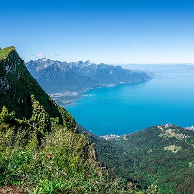 Montreux to Rochers-de-Naye: Alpine Adventure Ticket