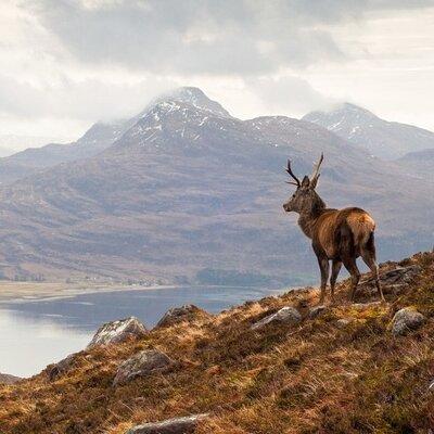  Luxury Private Tour of The Highlands & Loch Ness from Edinburgh