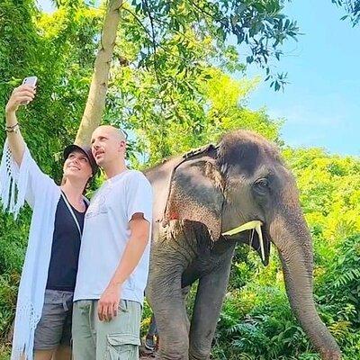 6 Hours Elephant Care and Jungle Tour by 4WD in Koh Samui