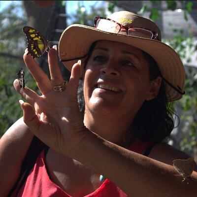 Butterflies, Tequila, River and Beach unforgettable day in Puerto Vallarta