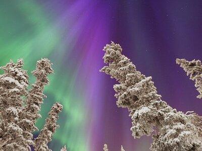 Small Group Yukon Aurora Viewing