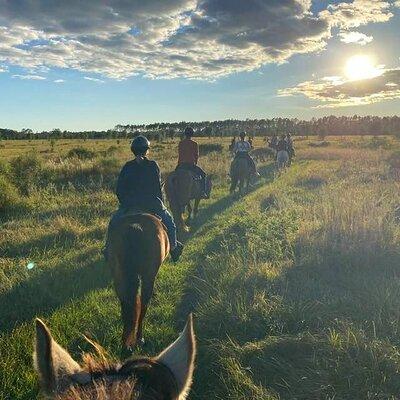 Horseback Ride on Scenic Lake Louisa Trails