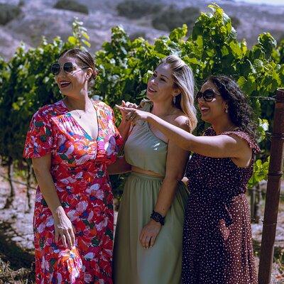 Inclusive Full-Day Wine Tasting Tour from Santa Ynez Valley