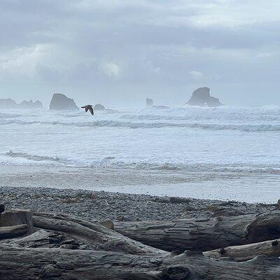 Private Astoria Coast Tour through Cannon Beach