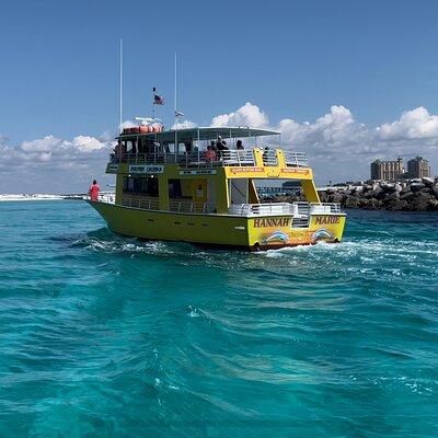 Dolphin & Sunset Cruises