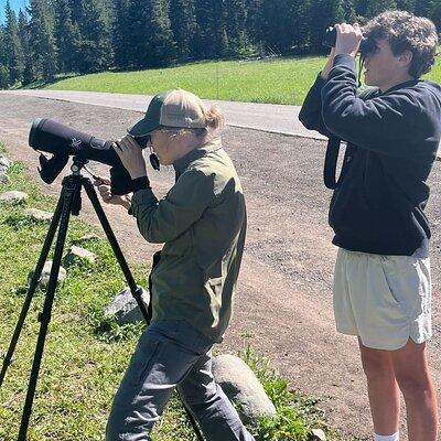 Yellowstone's Lamar Valley Wildlife Safari from Gardiner