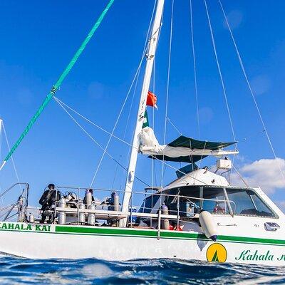 Oahu Catamaran Snorkel With Turtles: SEE TURTLES GUARANTEED!!