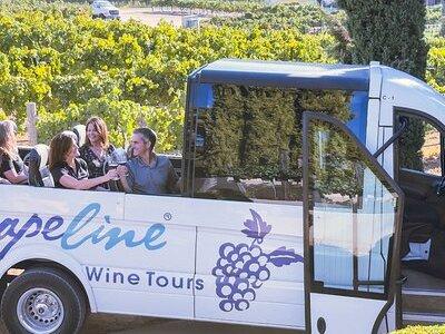 Inclusive Full-Day Wine Tasting Tour of Temecula Valley