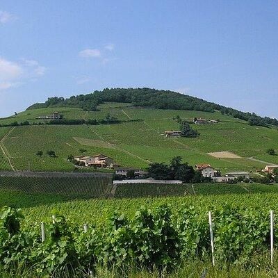 Beaujolais wine route, private tour from Lyon