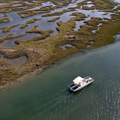 Eco Boat Tour in the Ria Formosa Lagoon from Faro