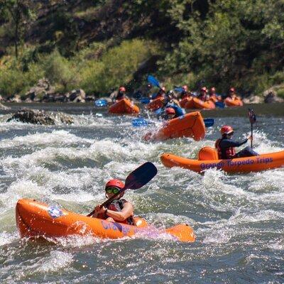 Rogue River Hellgate Canyon Half-Day Trip