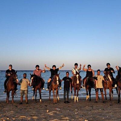 3 Hours sunrise horseback riding in Marsa Alam beach and desert 