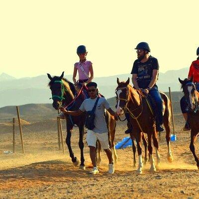 Sunrise desert and sea horseback riding with transfer Marsa Alam