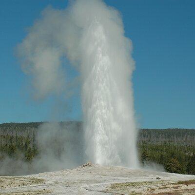 Yellowstone Lower (Southern) Loop Tour