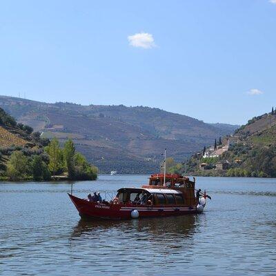 Douro Valley Tour: 2 Vineyard Visits, River Cruise, Winery Lunch