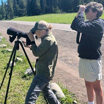 Yellowstone Wildlife Safari in Lamar Valley from Cody, WY