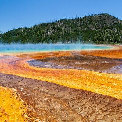 The Best of Yellowstone - Nat'l Park Day Tour From Cody - Private