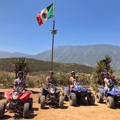 ATV Off Road Adventure Shore Excursion With a Taco Stop