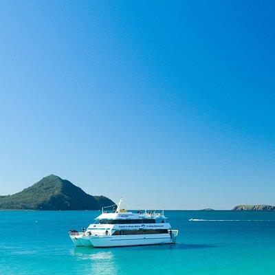 Port Stephens: Dolphin Discovery Cruise