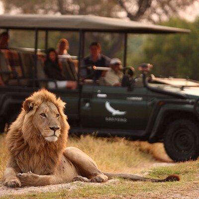 Tala Game Reserve And Natal Lion Park Safari from Durban