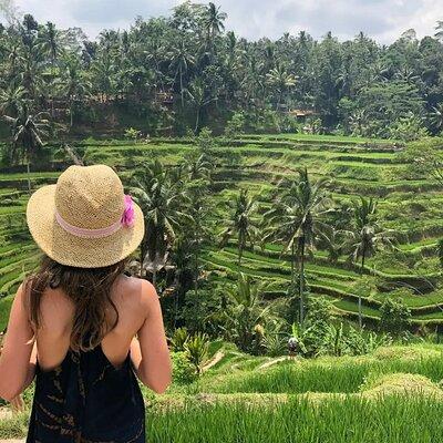 Bali Private Tour - Best of Ubud - All Inclusive