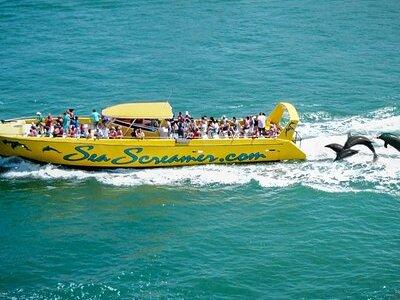 Sea Screamer Clearwater's Only Speed Boat Dolphin Watching