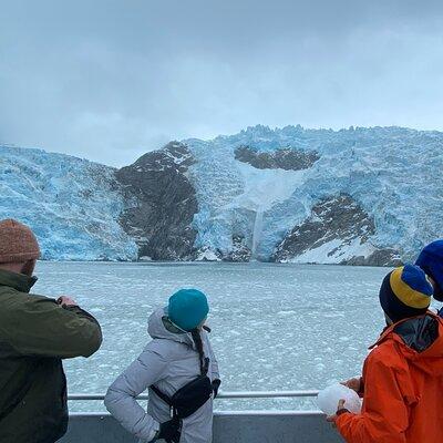 Northwestern Fjord Sightseeing Cruise from Seward