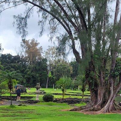 Meditative Journey through Hilo Gardens