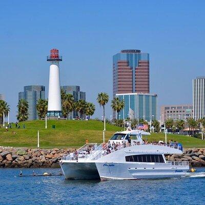 Educational Eco Boat Tour from Long Beach