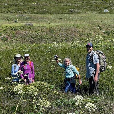 Scenic Coast and Wildlife Tour