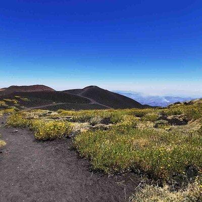 Etna Alcantara tour: the majestic lava landscape 