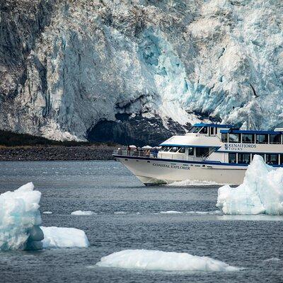 Kenai Fjords National Park Cruise from Seward