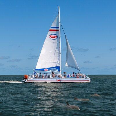 Dolphin Watch & Historical Harbor Tour in St. Augustine