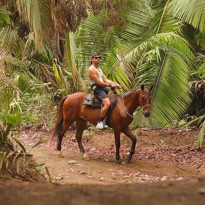 Private Jungle Horseback Adventure