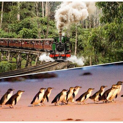 Puffing Billy and Penguin Parade Day Tour From Melbourne