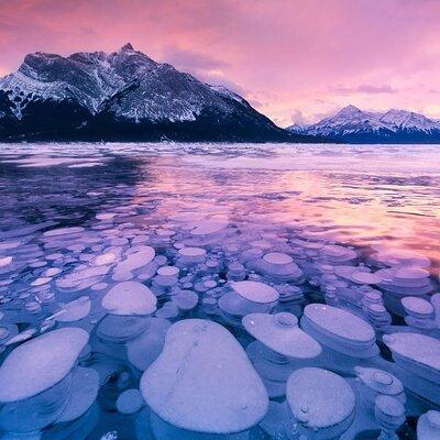 Winter Tour Peyto Lake Ice Bubbles at Abraham Lake Frozen Trip