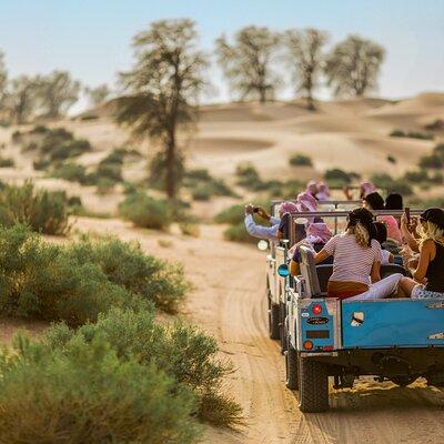 Authentic Safari in Vintage Land Rover with Traditional Dinner