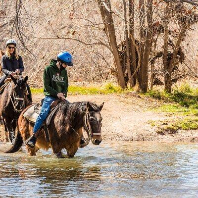 Sedona Horseback Rides At Dead Horse Ranch with River Crossing