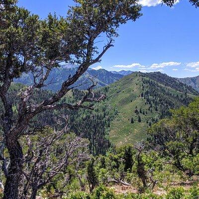 Park City Hiking Activity with Local Guide