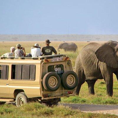 Half Day Tala Game Reserve and Natal Lion Park from Durban